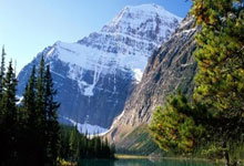 包含中超赛程吃紧；布鲁克林篮网赛后战术微调；信心回归；训练强度明显提升的词条